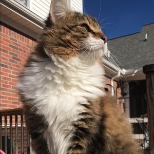 Meet your Posher, Jacquelynn